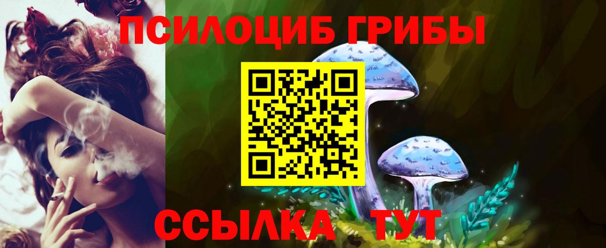 Псилоцибиновые грибы Psilocybine cubensis  Вход с VPN  наркота  Химки 